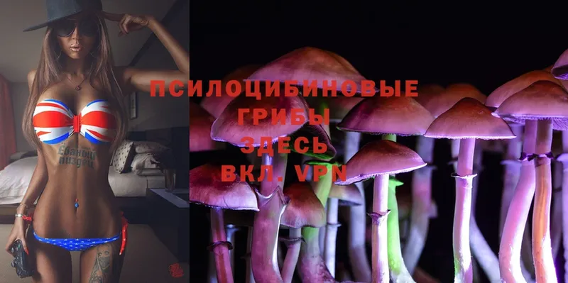 цена наркотик  Семилуки  Галлюциногенные грибы Magic Shrooms 